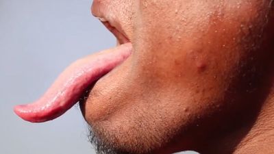 400px x 225px - This man has the world's longest tongue â€“ here's what he can do with it |  indy100