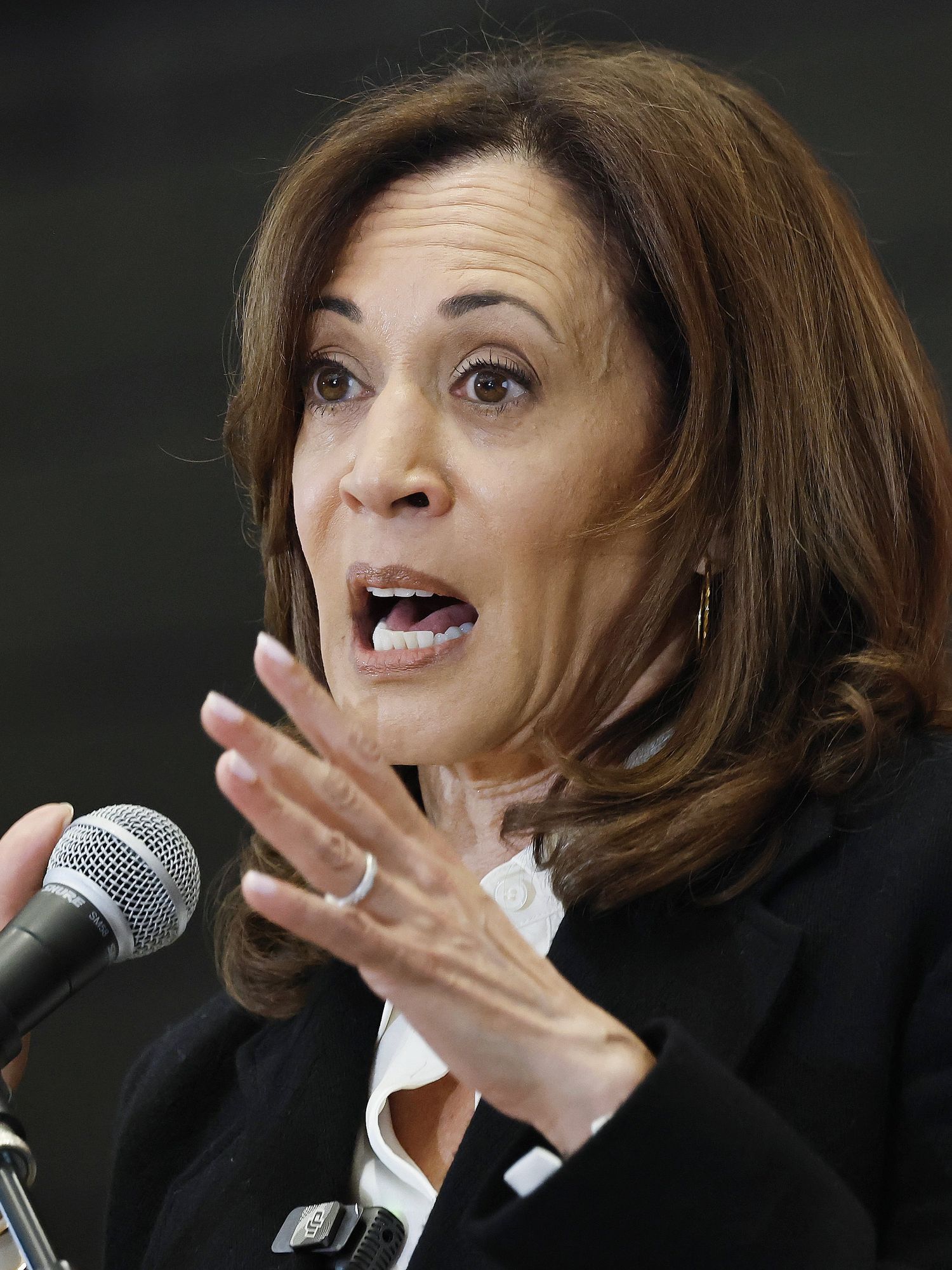 Kamala Harris, a Black woman with long brown hair and a black suit jacket, speaks into a microphone.