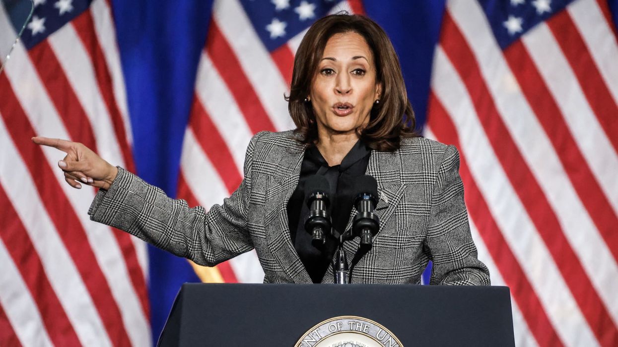 The Kamala Harris 'coconut tree' meme explained