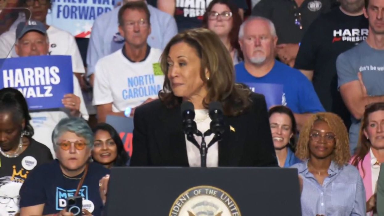 Kamala Harris meme inspires new Ben & Jerry's ice cream flavour