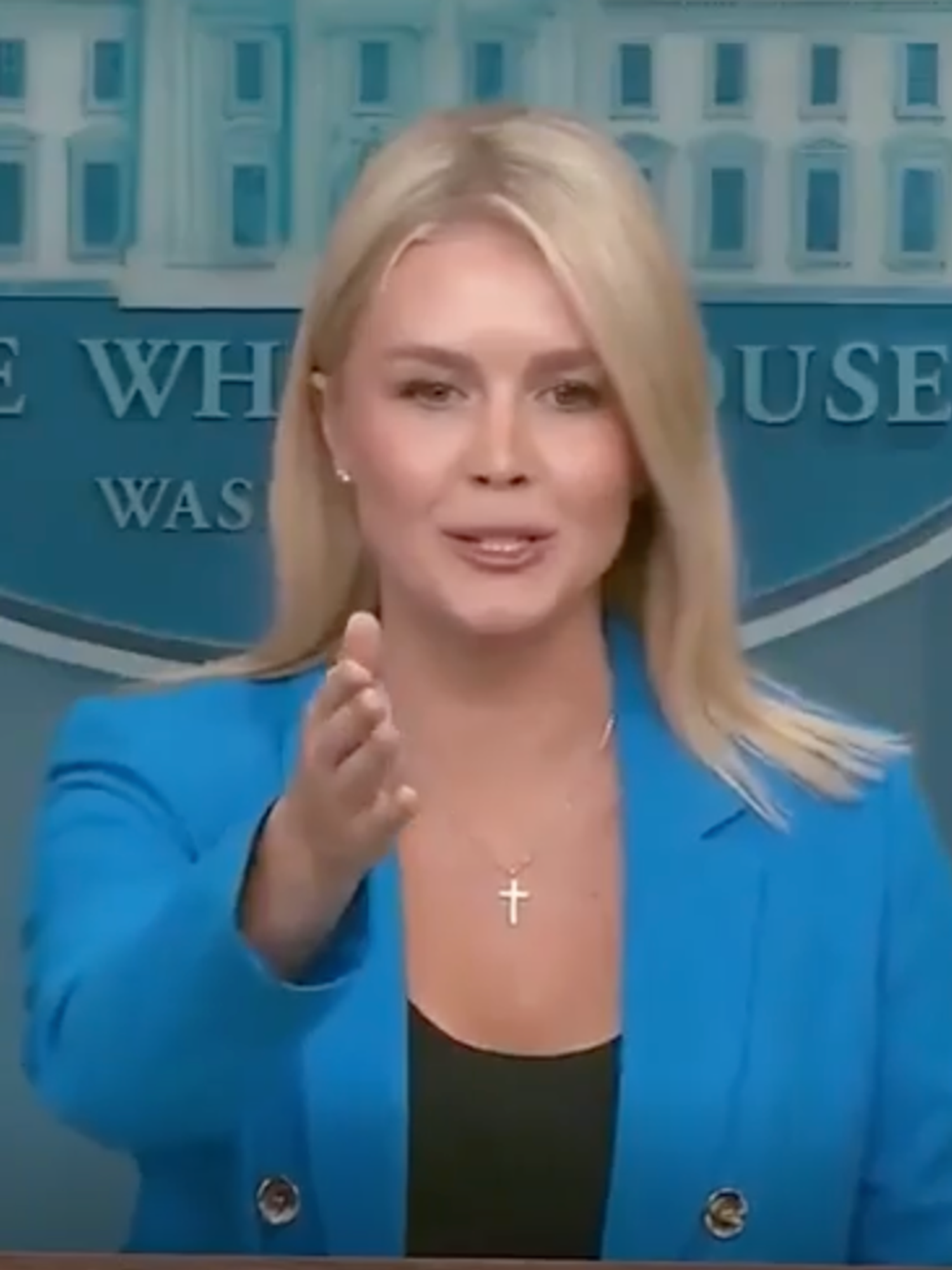 Karoline Leavitt dismisses reporter's question on LA Trump protests calling it 'stupid'