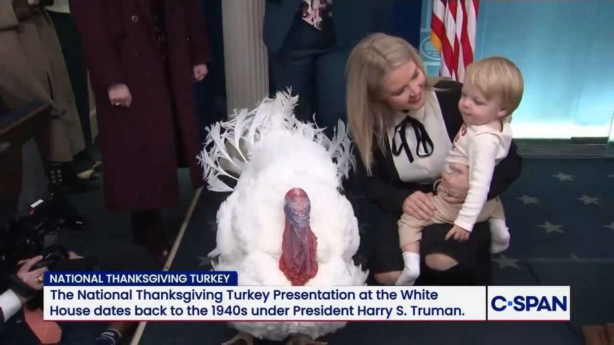 Watch: Karoline Leavitt's son plays alongside huge pardoned thanksgiving turkey