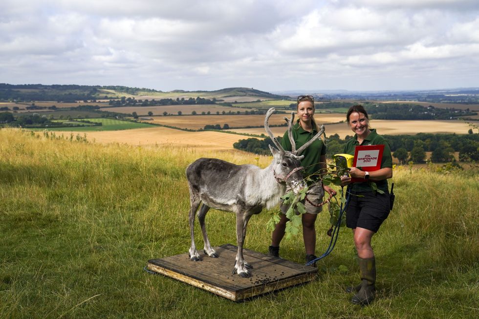 Keepers Christina Finch and Danielle Hearne with Heidi the reindeer (Steve Parsons/PA)