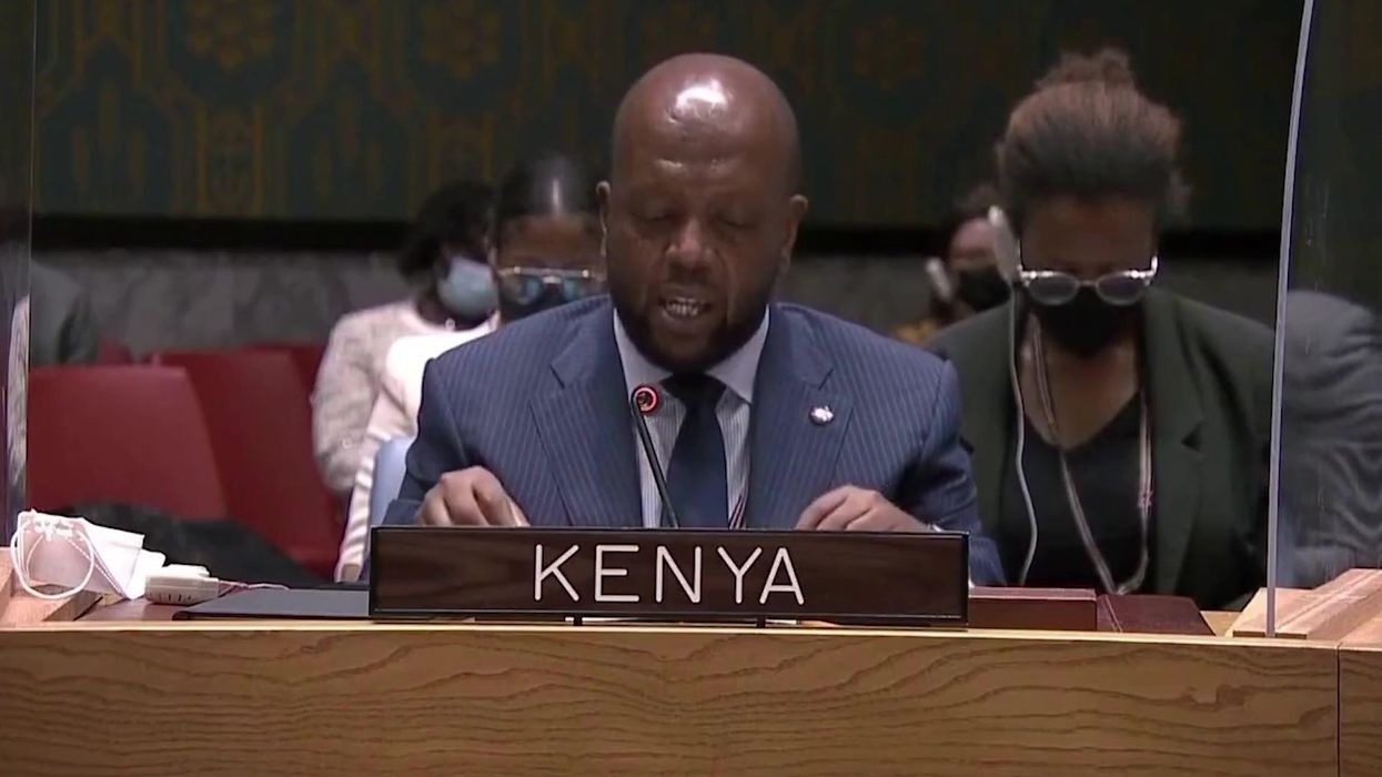 Kenya's UN ambassador praised for 'inspiring' speech on Ukraine-Russia crisis