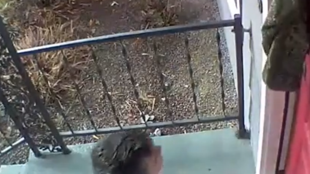Kid uses lightning-fast 'ninja moves' to stop his brother from locking him out of the house