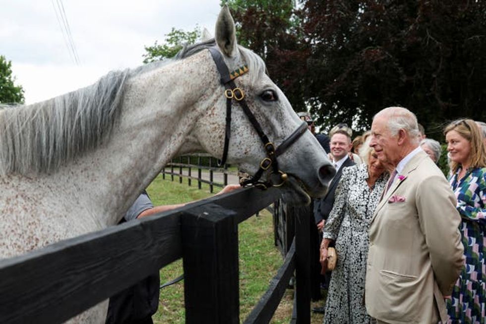 King and Queen looking at a grey horse at the National Stud