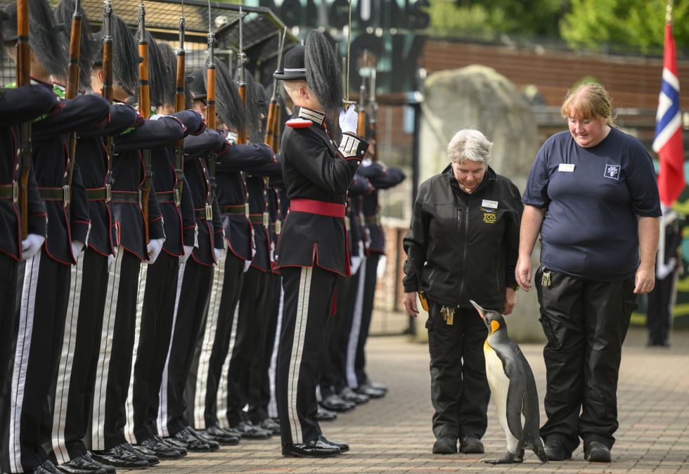 Guard of honour for Edinburgh Zoo mascot penguin as it is promoted to general