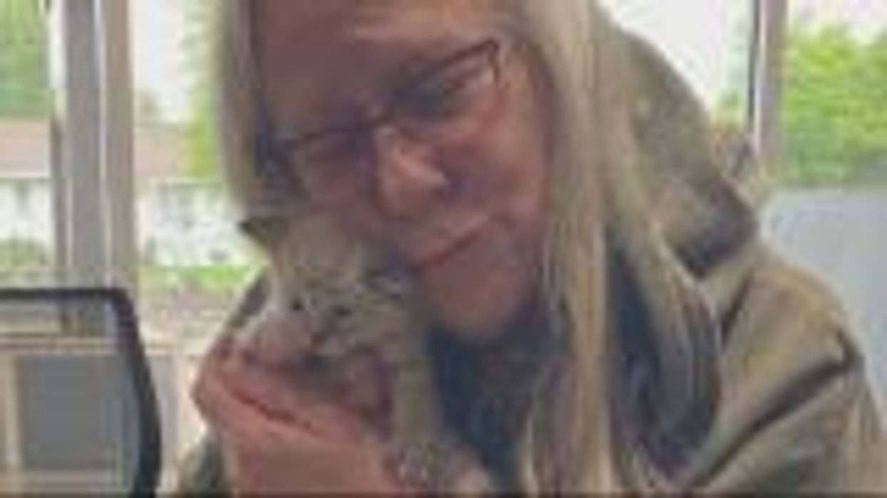 Bin man rescues three kittens that had been dumped in a trash compactor