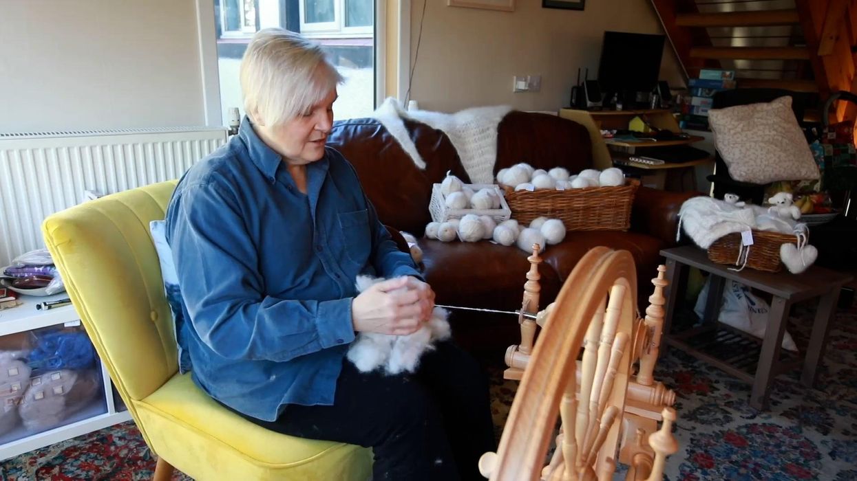 Knitter makes clothes from hair belonging to her pet dogs