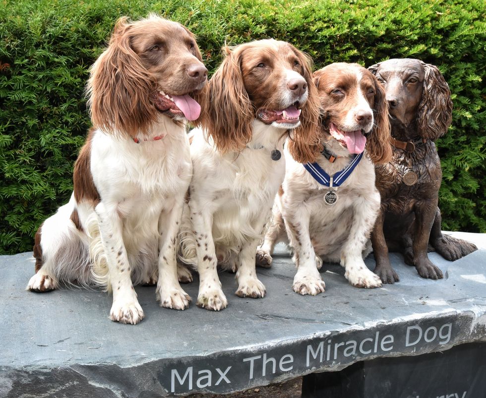 l-r Harry, Paddy and Max next to the new bronze statue of Max, wearing his PDSA Order of Merit
