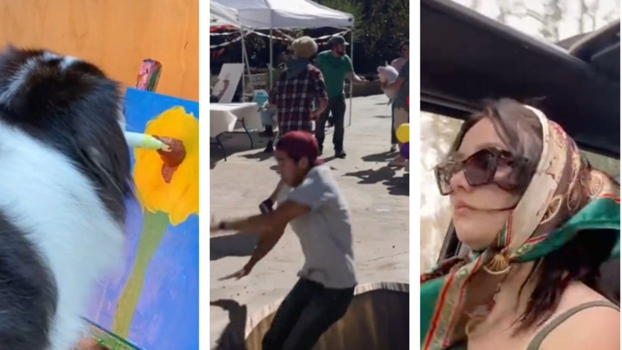 <p>(L-R) @my_aussie_gal, @zachking, @chaotticgoood</p>