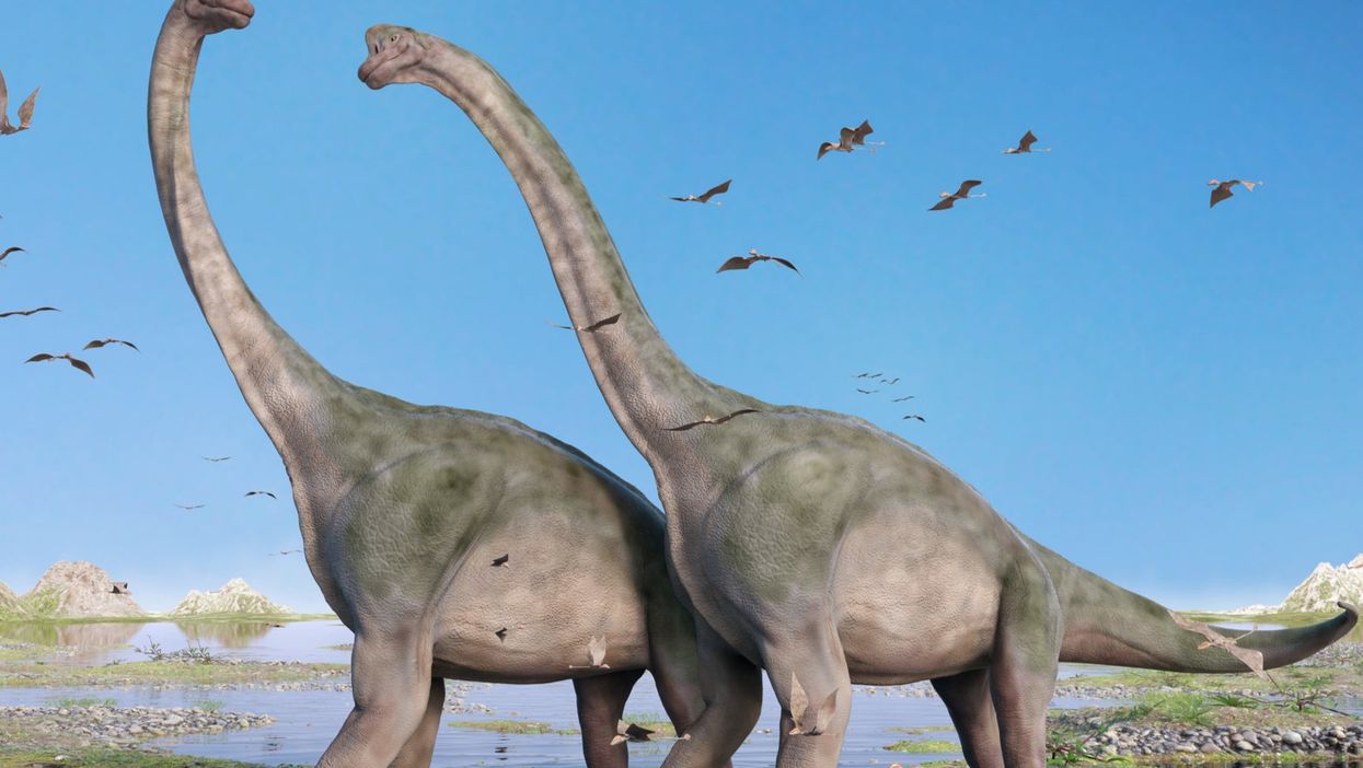 La caída de los niveles de CO2 puede haber abierto pasillos a través de los desiertos permitiendo a los dinosaurios herbívoros realizar viajes épicos