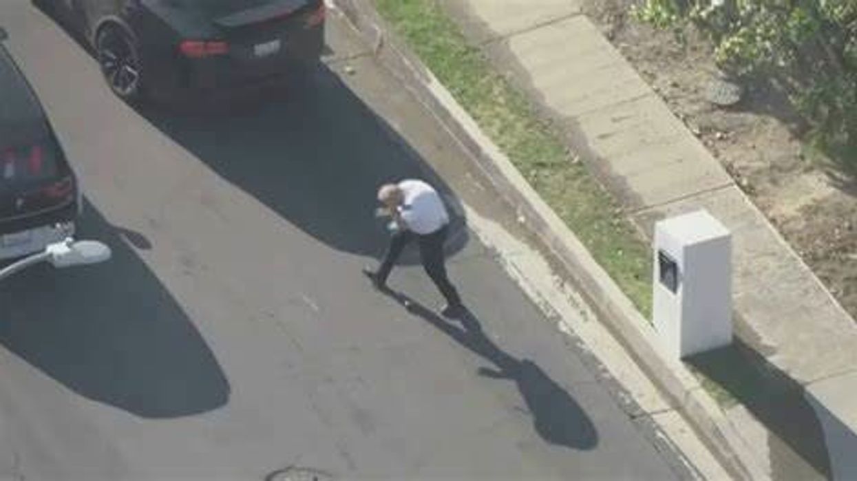 Police officer collapses on live TV after being attacked by massive cloud of bees