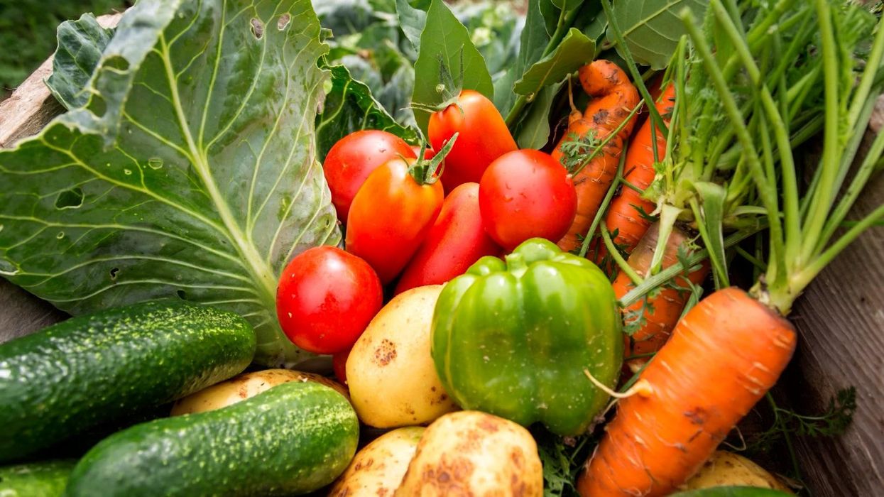 The food chain is about to collapse, scientists warn