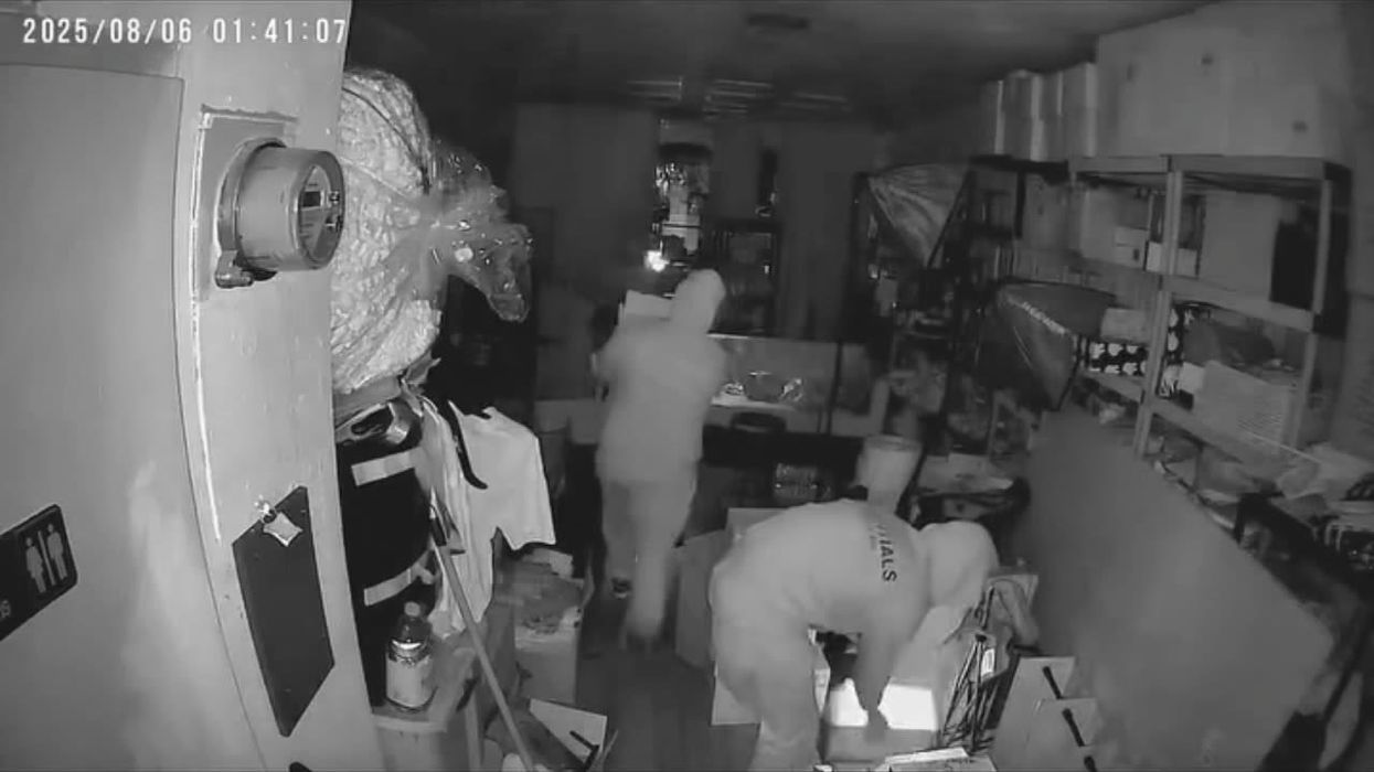 Labubu break-in: Thieves steal thousands of dollars' worth of viral dolls from LA store