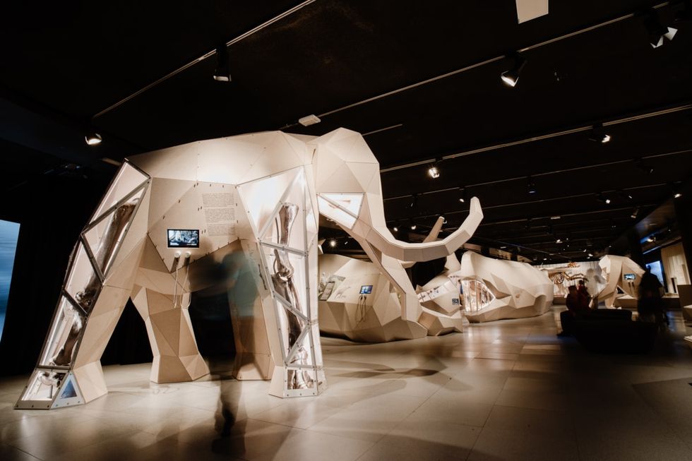 Exhibition of prehistoric Giants to make UK debut