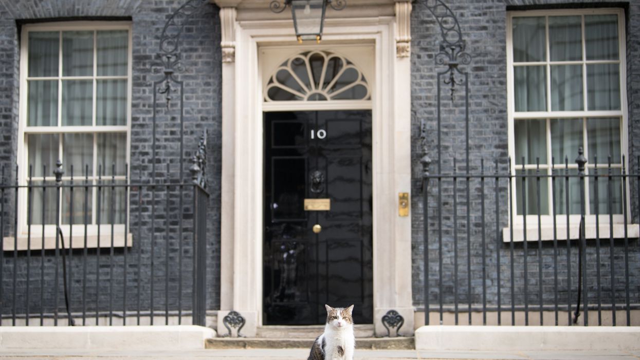 Larry the Cat celebrated a decade as Downing Street’s chief mouser (Stefan Rousseau/PA)