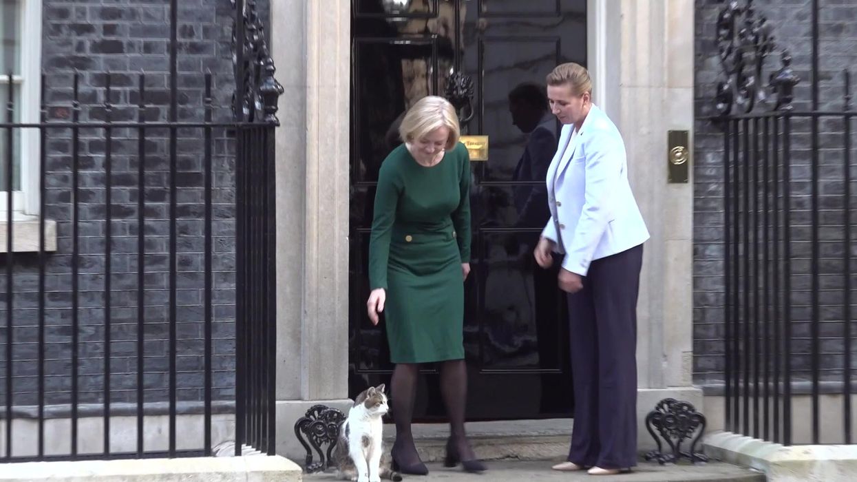 Larry the cat sums up the UK right now by snubbing Liz Truss