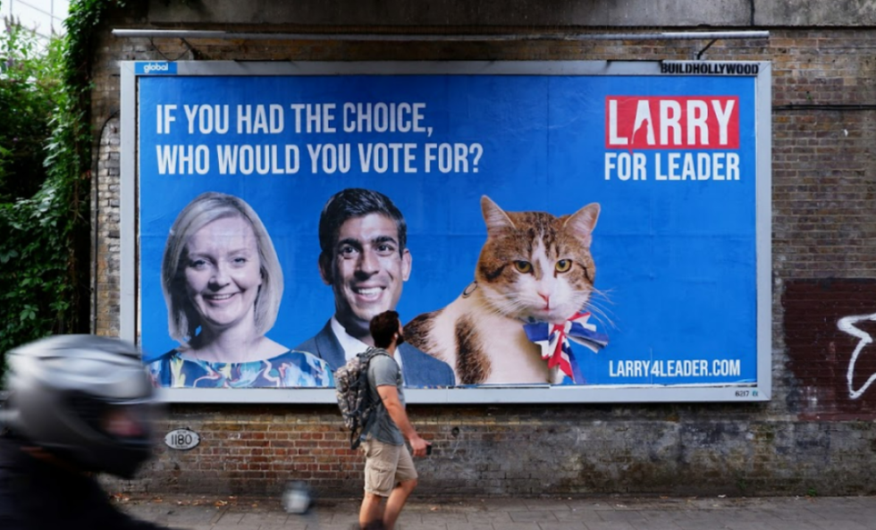 Twitter users delighted to see billboards announcing Larry the cat’s bid for PM