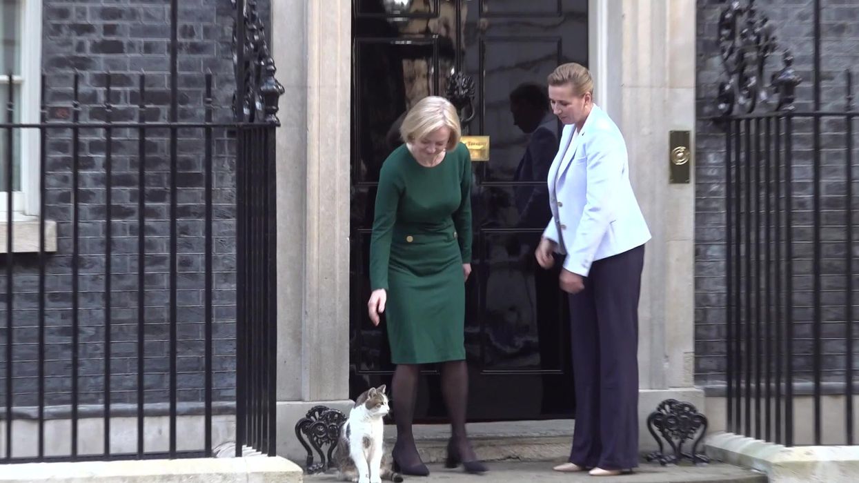 Larry the Cat has more Twitter followers than Liz Truss