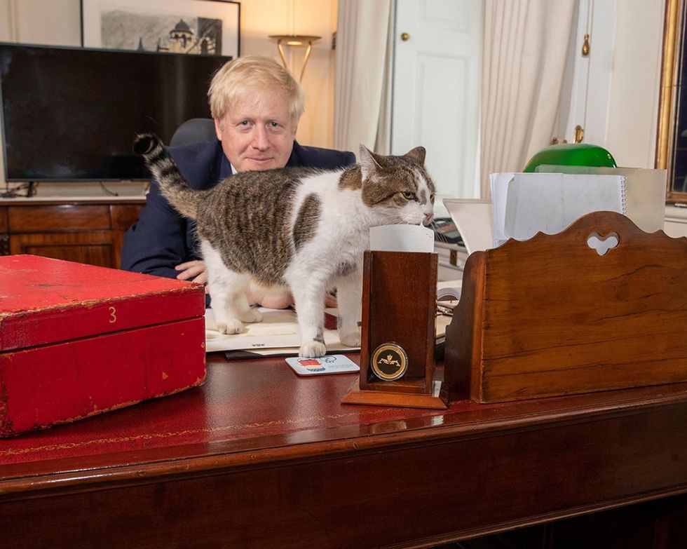Larry the cat with the Prime Minister Boris Johnson