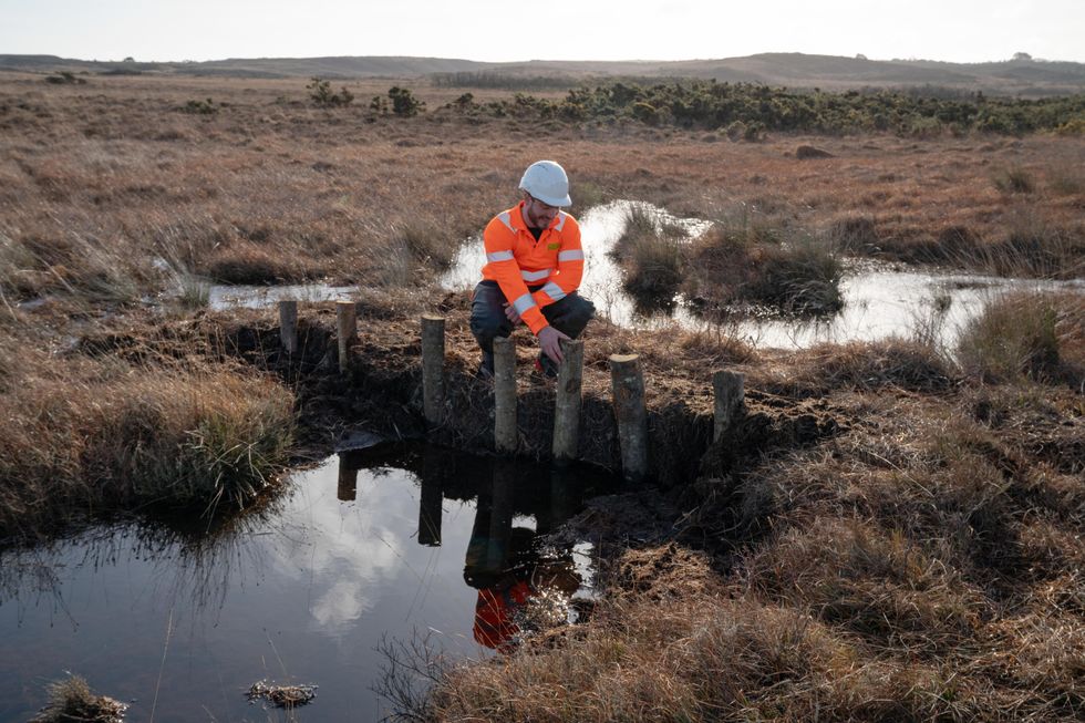 £1 million project launched to restore rare peatland habitats