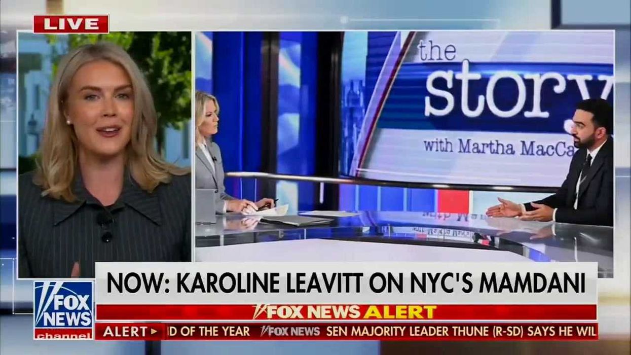 Karoline Leavitt condemned for ‘grossly dark’ description of Democrat supporters