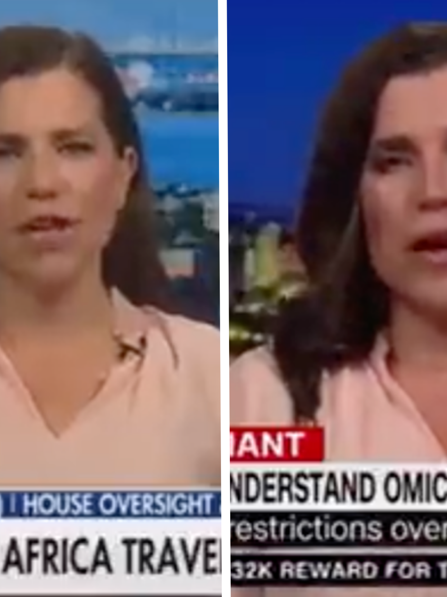 Left, a white woman with long brown hair and a pink dress appears on one news channel during the day. Right, she appears on another show on another network, wearing the same dress, with hair styled the same.