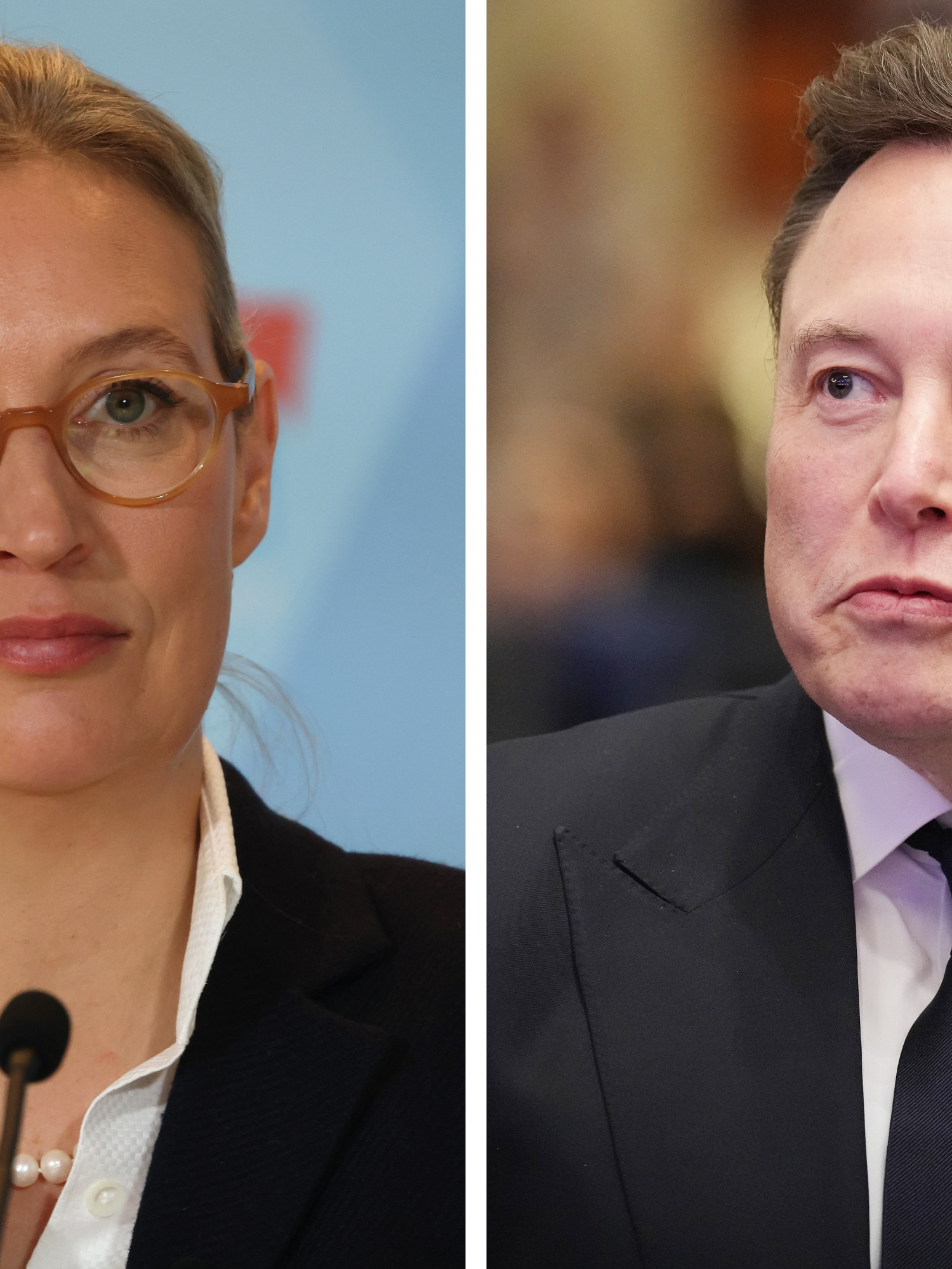 Left, Alice Weidel. Right, Elon Musk.