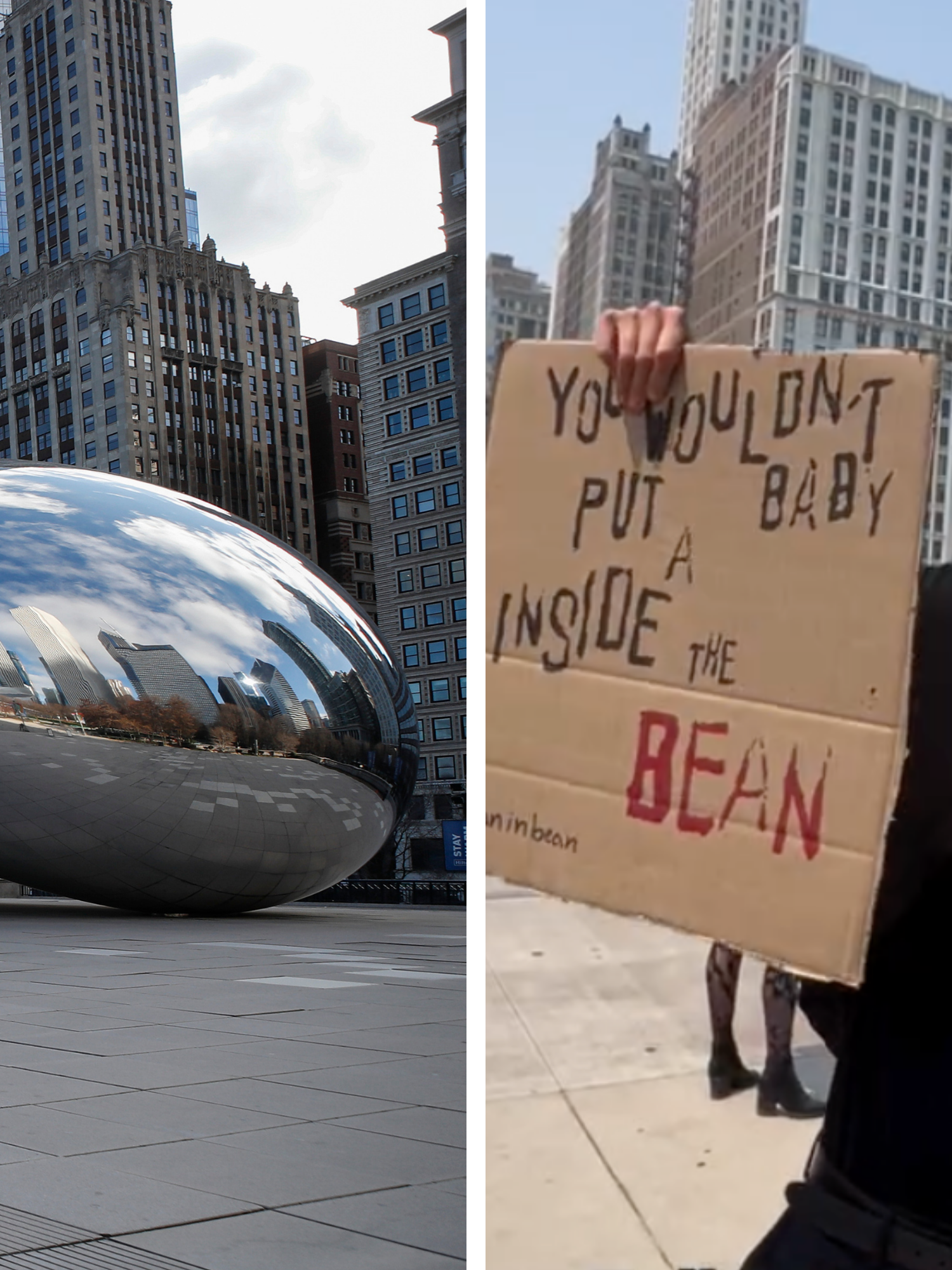 Left, the bean-shaped metallic structure 'Cloud Gate' in Chicago. Right, a young white man with sunglasses holds up a protest sign which reads: 'You wouldn't put a baby inside The Bean'.