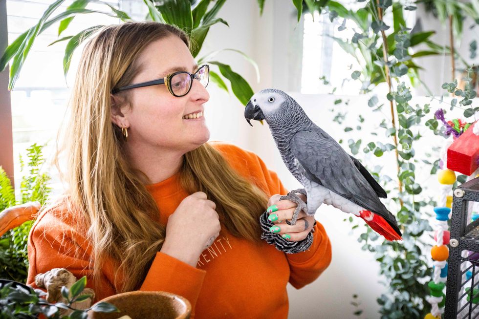 Lottery winner creates haven for TV-loving African grey parrots