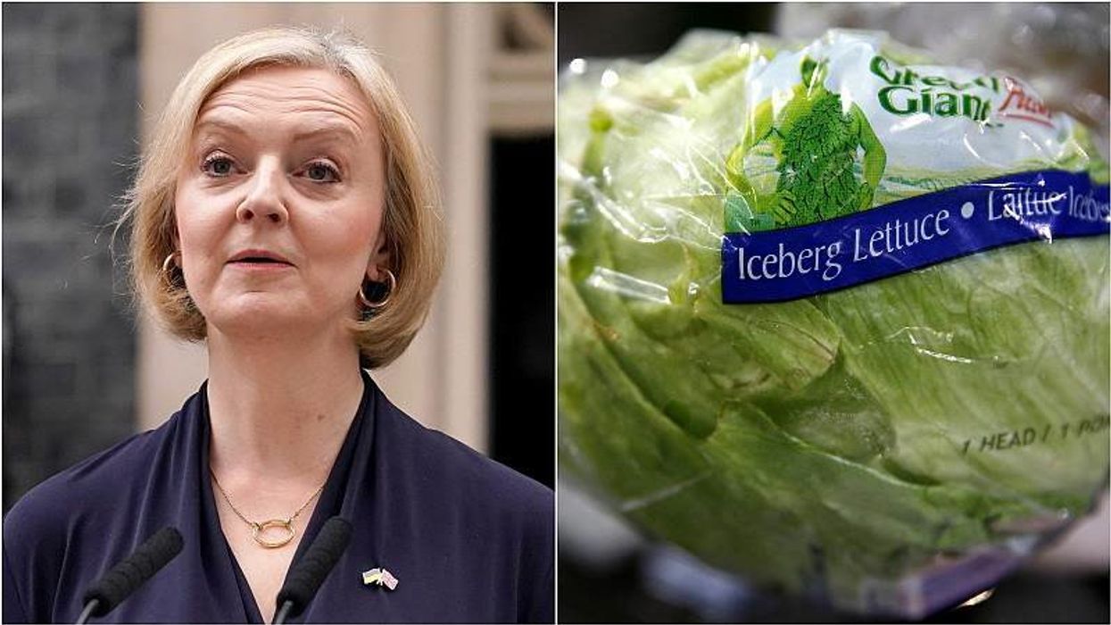 Labour use the Liz Truss lettuce to make point about the Tories economic failure