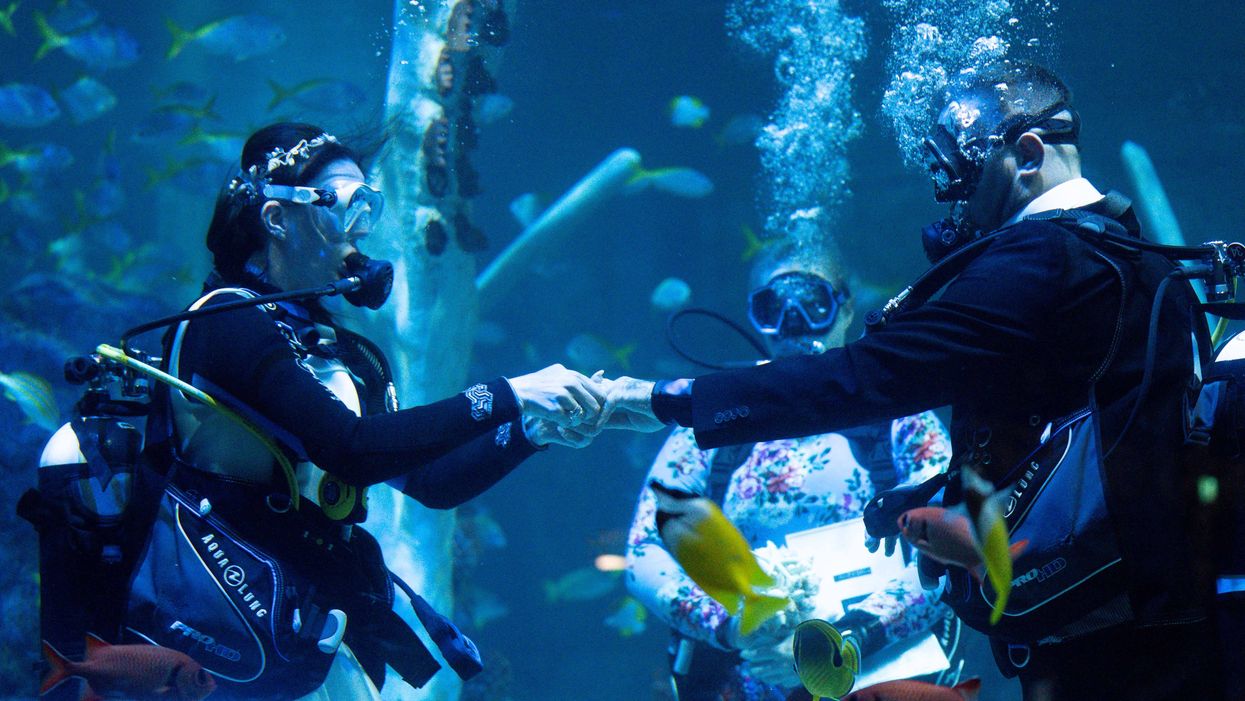 Lisa Huggins and Christopher Jackson were imaginative with their choice of wedding venue (Jacob King/PA)