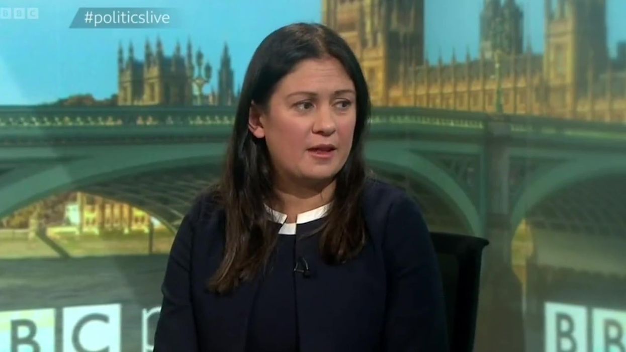 Lisa Nandy's Brexit views have split the public
