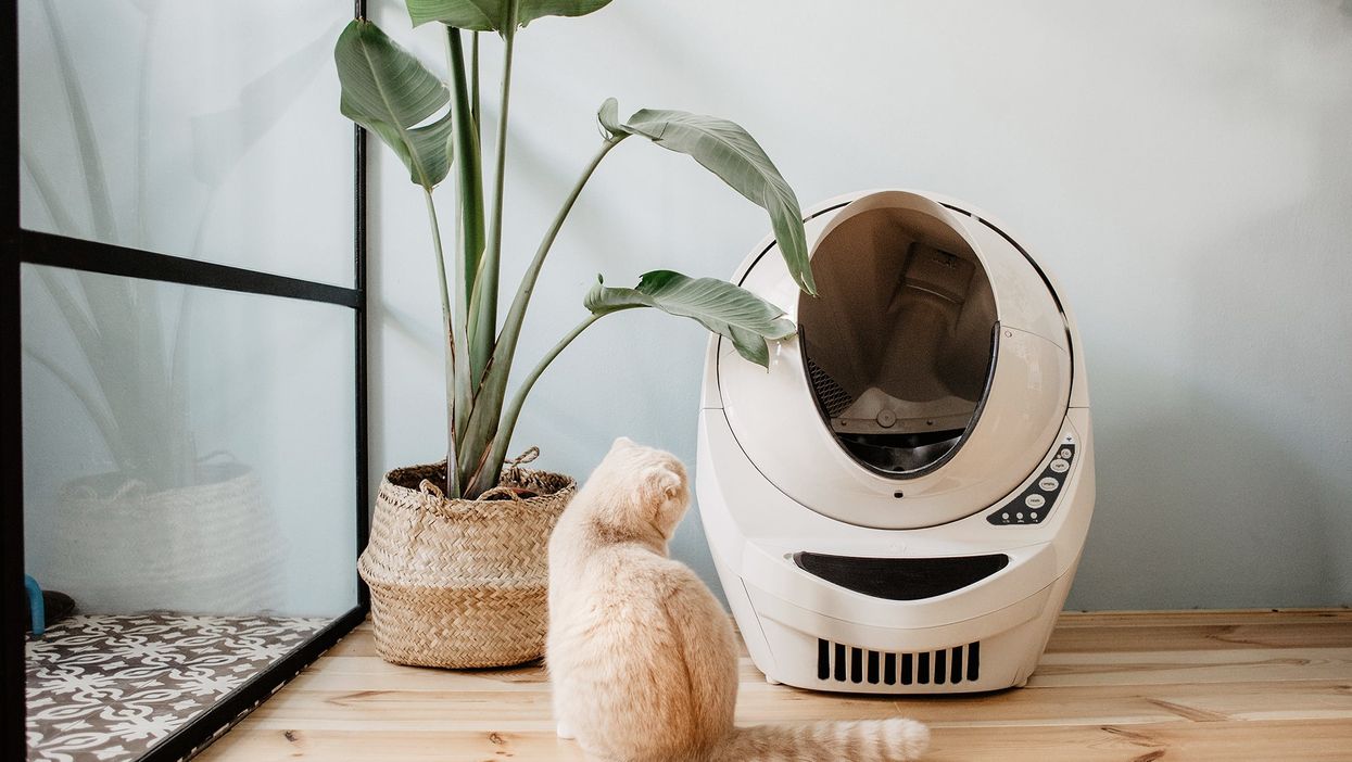 Litter Robot 3 Connect