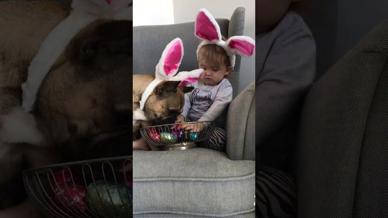 Expert says it's better to eat your Easter egg in one go instead of saving it