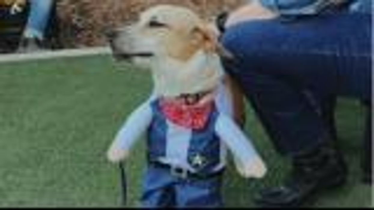 Uber is offering discounted rides this Halloween