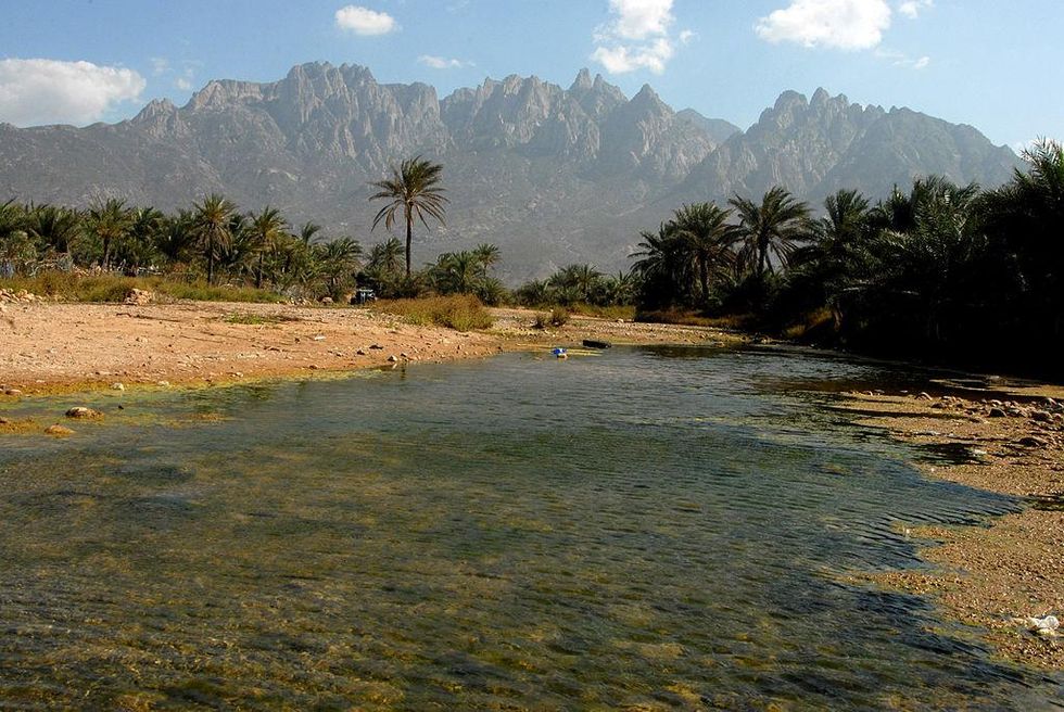 Location in the northwest Indian Ocean near the Gulf of Aden, four islands, roughly 250 km long  make up the Socrata Archipelago. The site is of universal importance because of its biodiversity with rich and distinct flora and fauna: 37% of Socotra\u2019s 825 plant species, 90% of its reptile species and 95% of its land snail species do not occur anywhere else in the world. The area, almost untouched by humans, has for now survived the civil war which began in 2015.