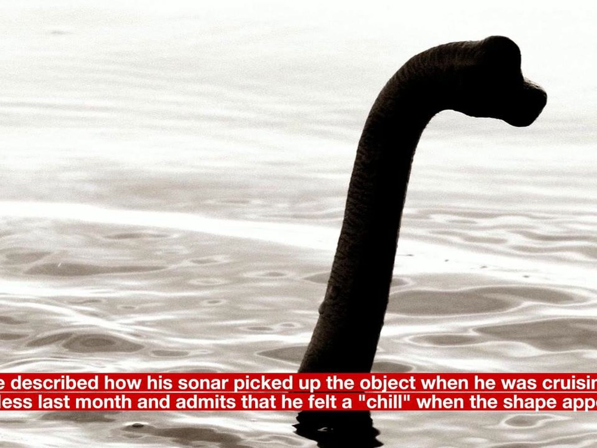 Loch Ness Monster breakthrough could finally solve mystery