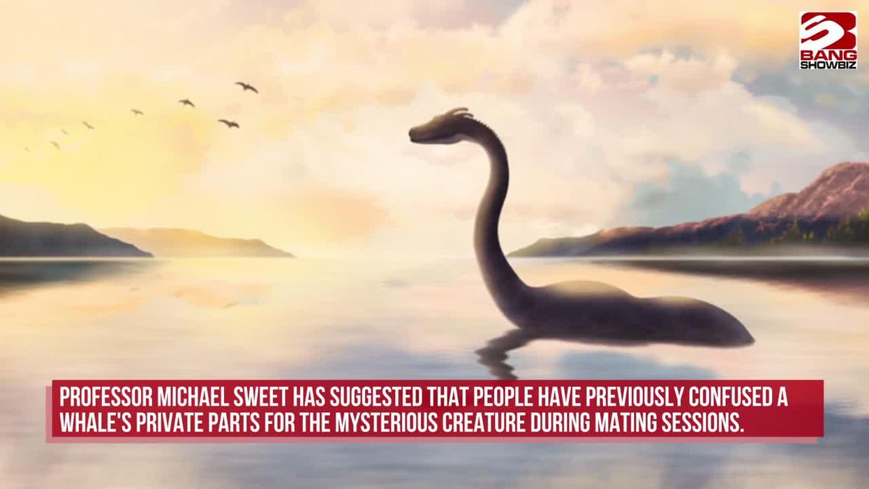 Loch Ness monster is actually a whale penis, Derby professor suggests