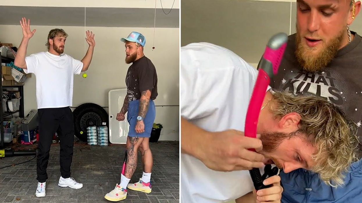 Logan and Jake Paul mock Nate Diaz after street brawl goes viral