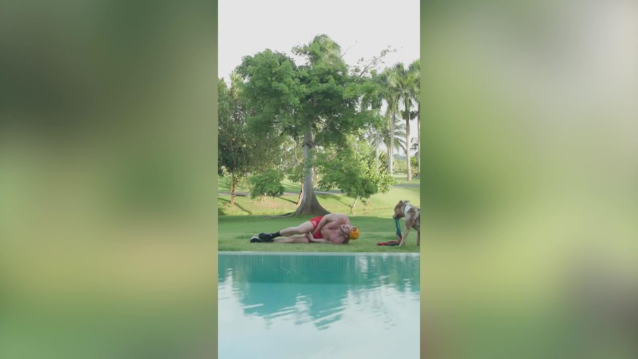 Cringe-worthy moment Logan Paul gets bitten on the testicles by dog