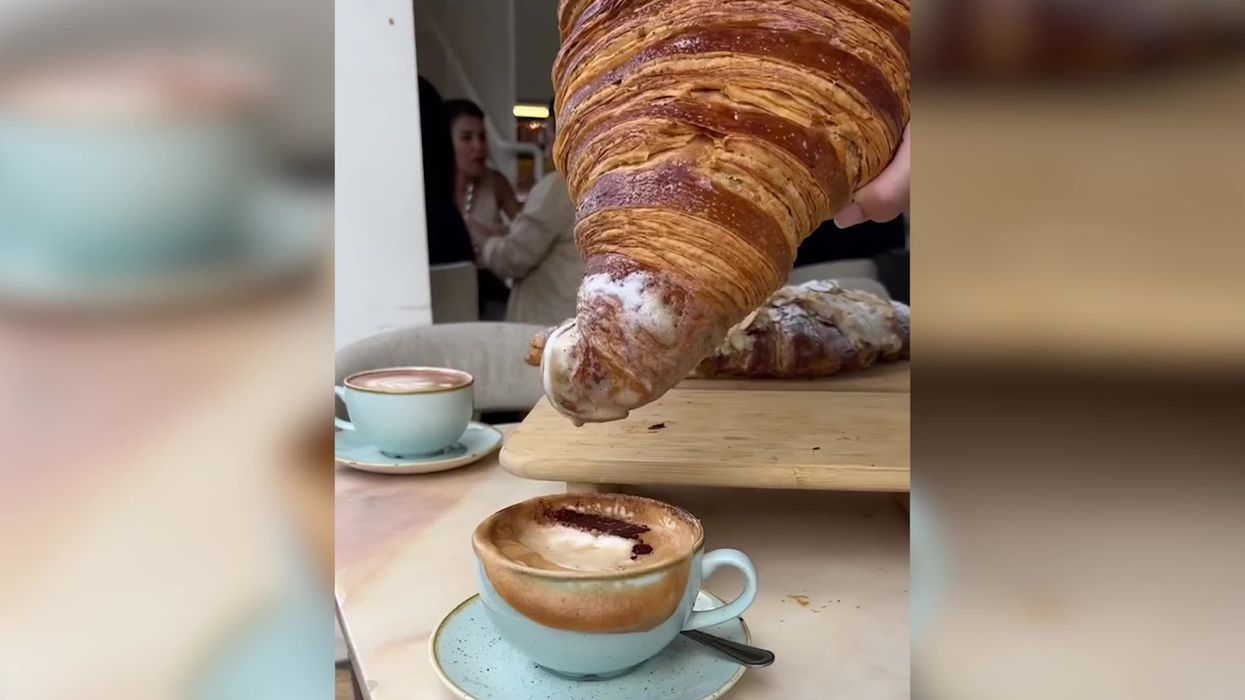 TikTok is running to buy this giant 1.5kg croissant that 'serves eight people'