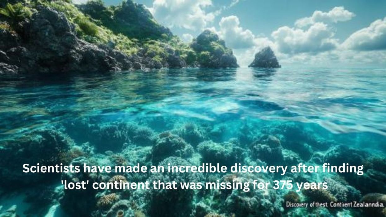 Lost continent 'unlike anything found today' discovered off the coast of Australia