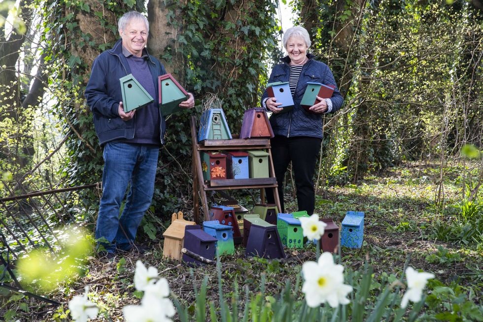 Lottery winners set up bird boxes