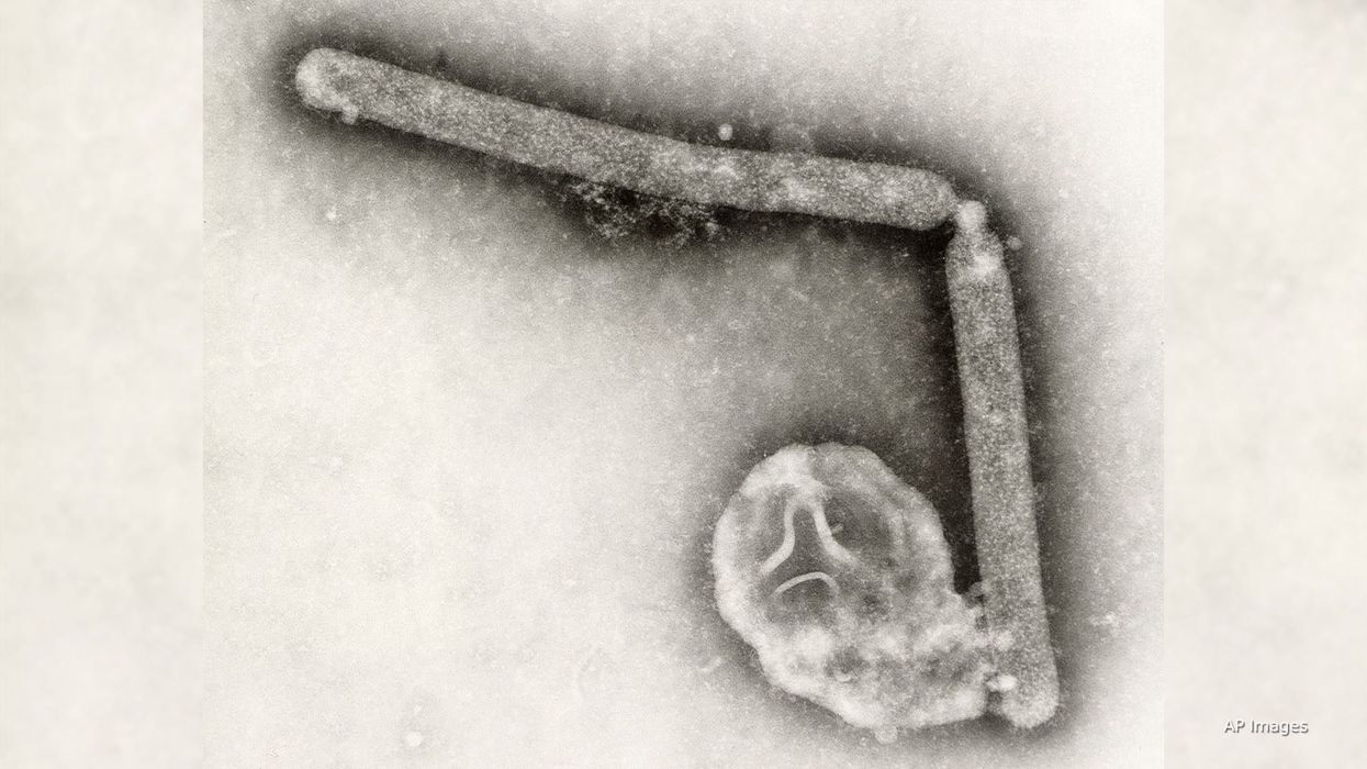 US confirms first human death from bird flu