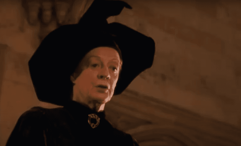 Maggie Smith as Minerva McGonagall