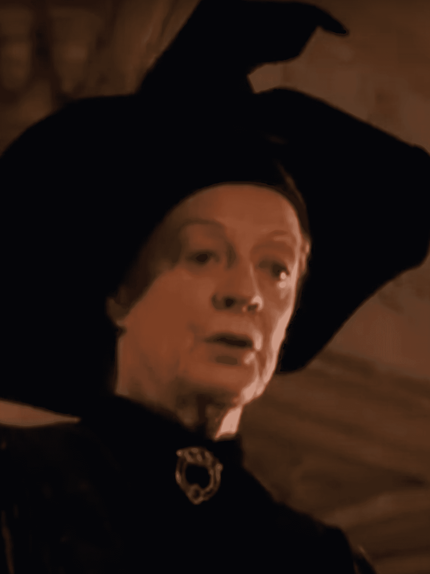 Maggie Smith as Minerva McGonagall