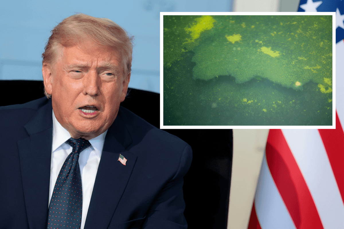 Main image is of Donald Trump sitting in a chair and talking. Inset right is a piece of flooring in the Reflecting Pool peeling off. The water is green.