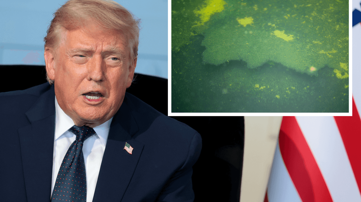 Main image is of Donald Trump sitting in a chair and talking. Inset right is a piece of flooring in the Reflecting Pool peeling off. The water is green.